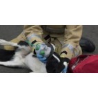 Recovery Oxygen Masks for dogs & cats